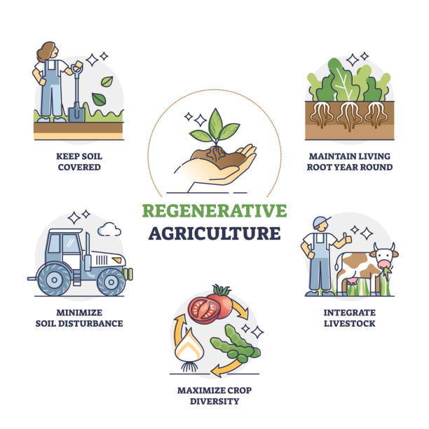 Specialised tools, machines, and automation for regenerative agriculture