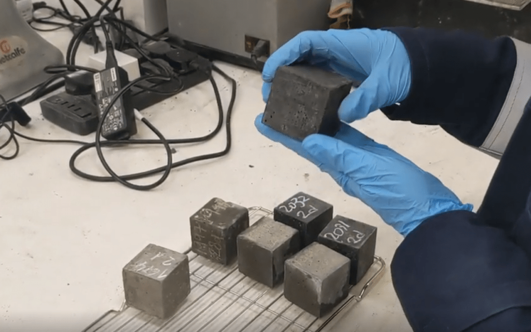 Carbon13 to $15 million Series A: A Conversation with Cocoon’s Chief Science Officer 
