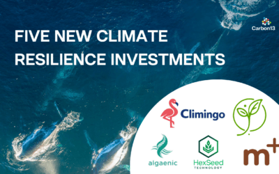 Carbon13 invests in five climate resilience startups