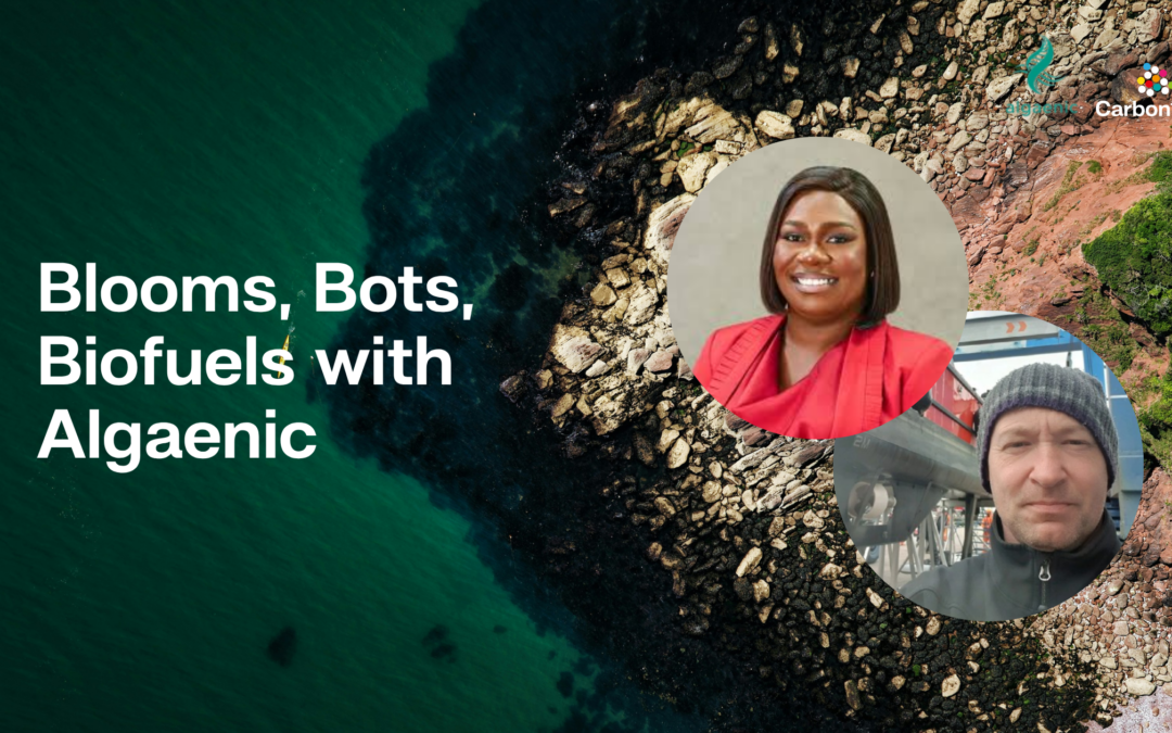 Blooms, Bots and Biofuels with Algaenic