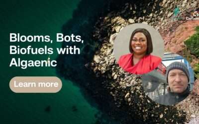 Blooms, Bots and Biofuels with Algaenic