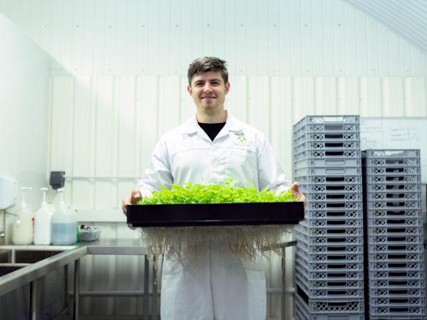 design engineer with crop grown in sustainable indoor farm