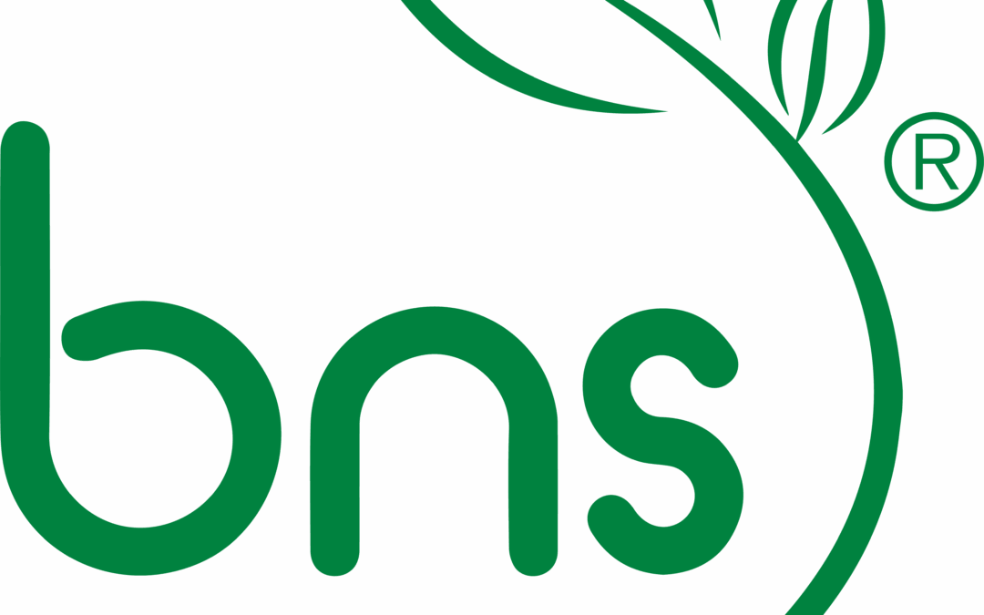 Country Manager – BNS WORLDWIDE